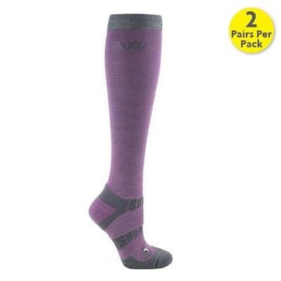 Woof Wear Long Riding Socks - Lilac (Pack of 2)