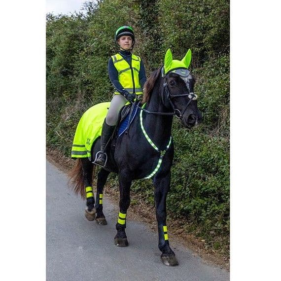 Woof Wears LED Neckband - Yellow
