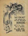 Alice in wonderland , Have I Gone Mad , Entirely Bonkers Brown - Metal Advertising Wall Sign