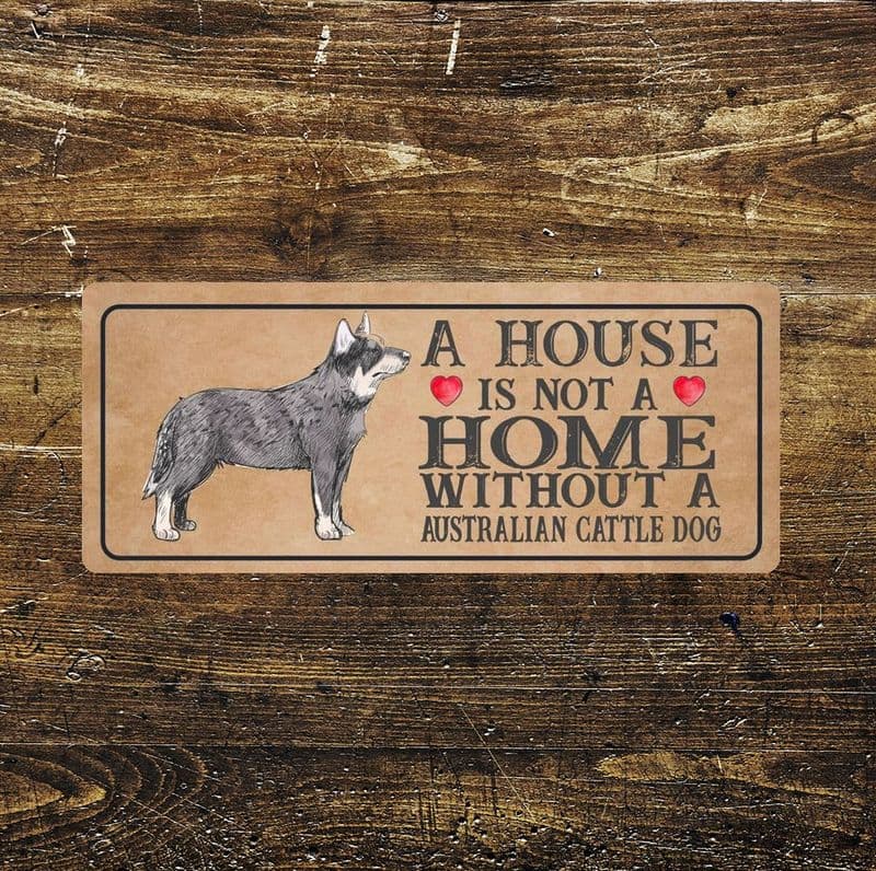 australian cattle Dog Metal Sign Plaque - A House Is Not a ome without a