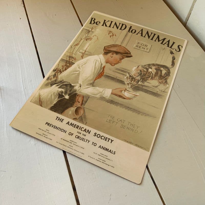 Indoor & Outdoor Wall Décor with Prints and Metal Plaques- The Comprehensive Guide 2 https://scape-west.co.uk/shop/art-from-artisans-across-the-globe-mirrors-handmade-in-uk-highest-standards/paintings-and-prints/be-kind-to-animals-retro-style-indoor-outdoor-metal-wall-sign/