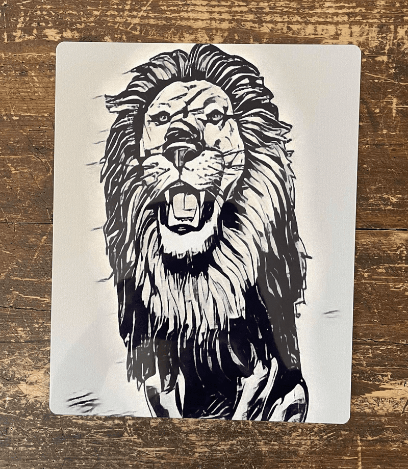 Black And White Lion