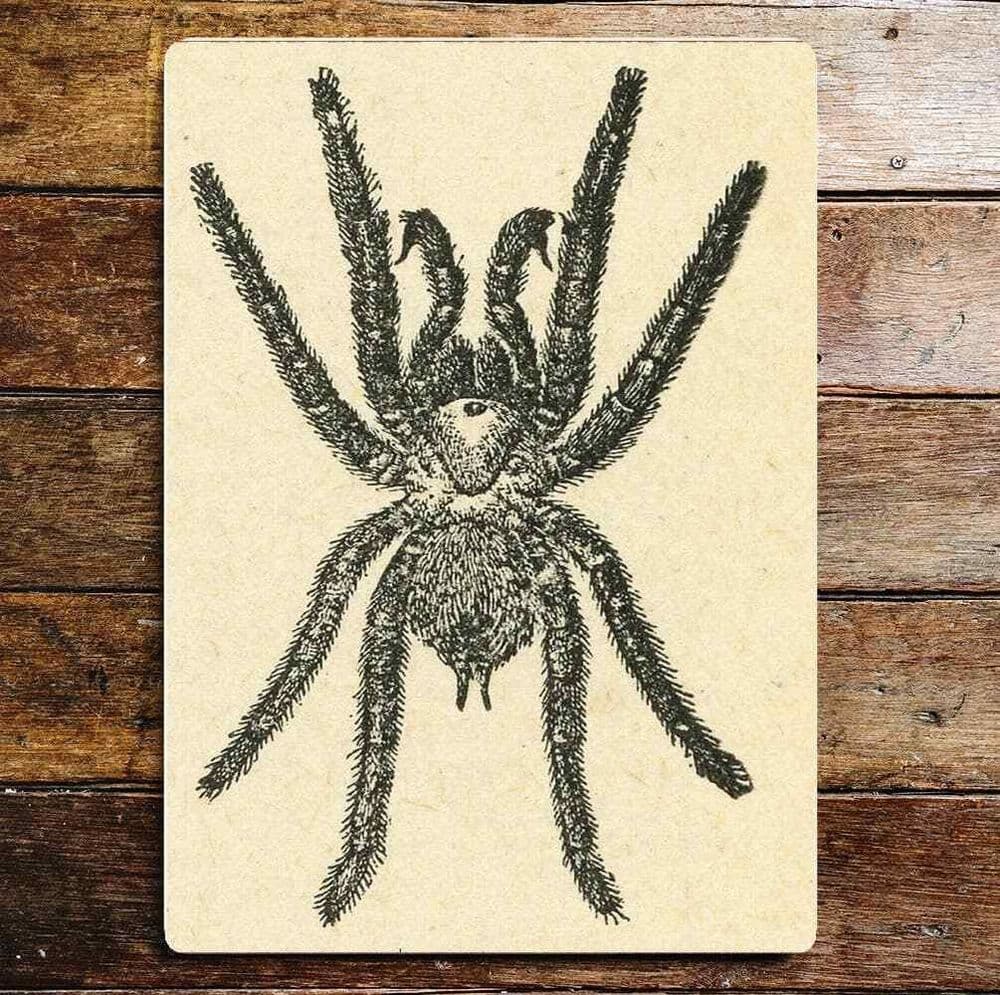 Black Hairy Spider Metal Sign Plaque
