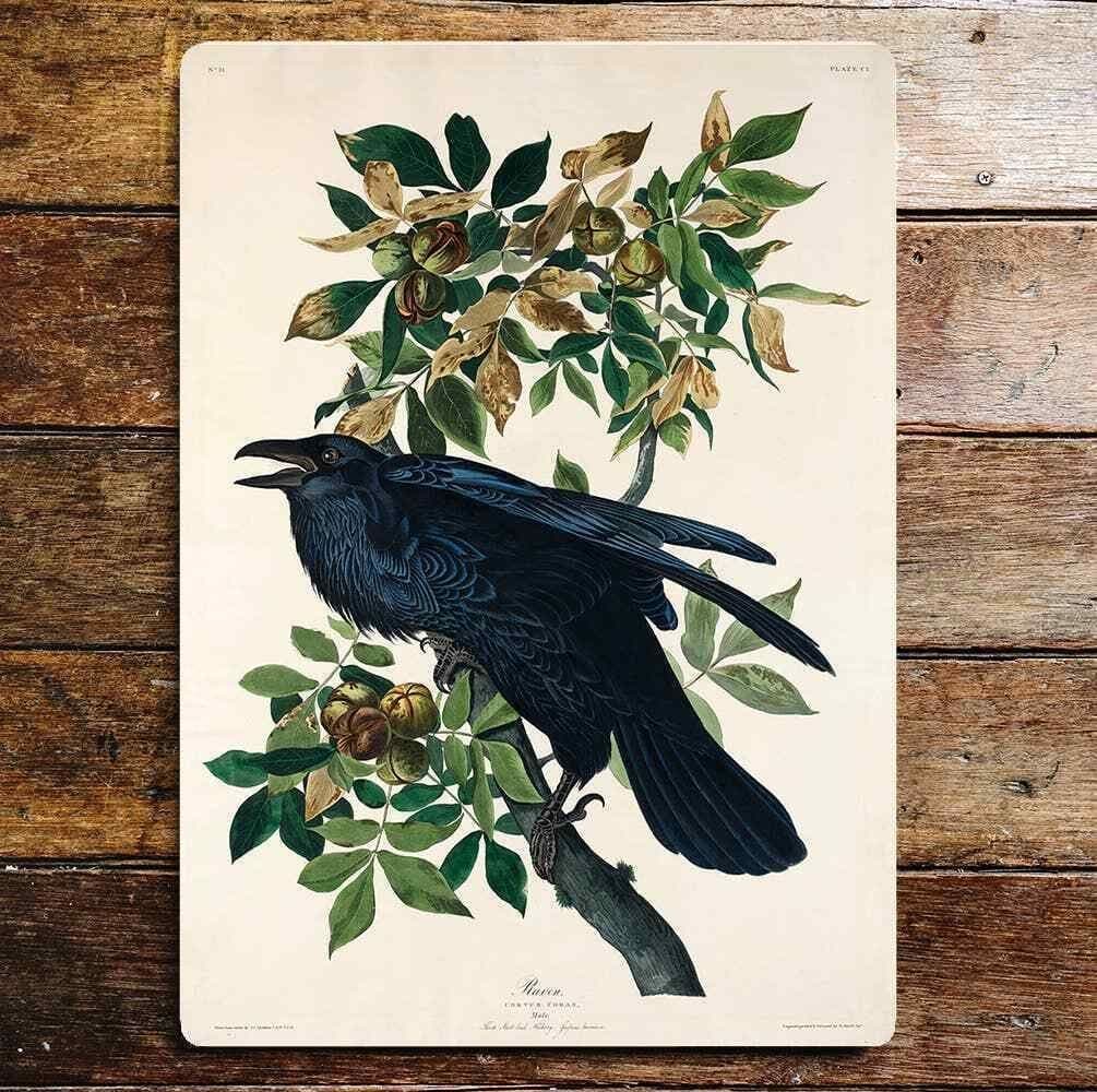 Black Raven Bird Sitting Branch Metal Sign Plaque