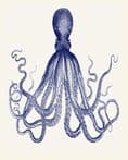Blue Octopus - Metal Botanical Wall Sign Plaque