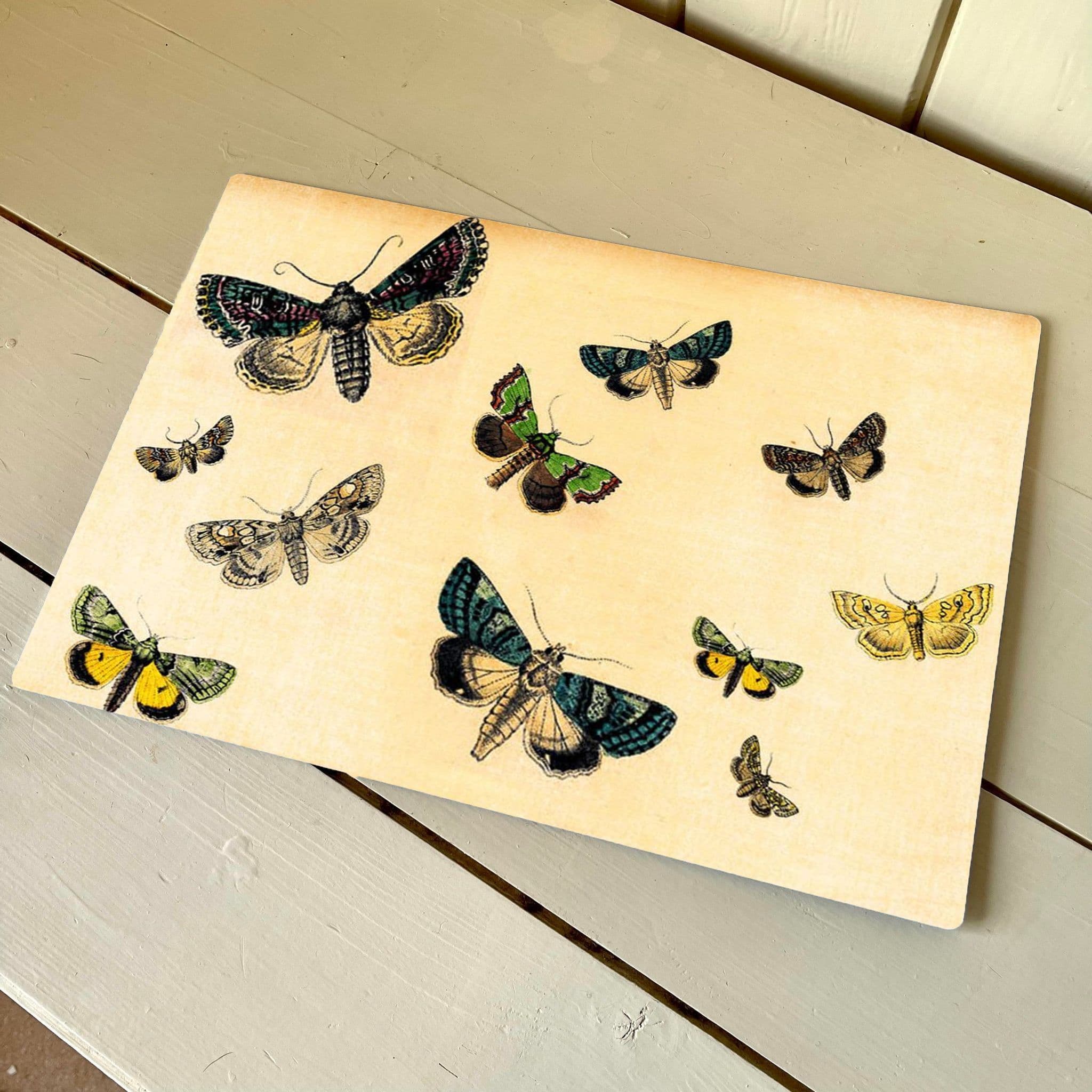 Butterflies Insects Moths - Metal Humour Wall Sign