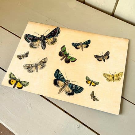 Butterflies Insects Moths - Metal Humour Wall Sign