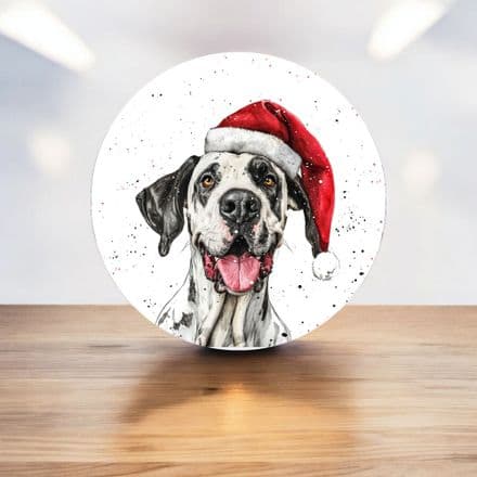 Dalmatian with santa hat Christmas circle - Metal Street Sign Wall Sign