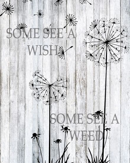 Dandelion Some See a wish Weed - Metal Travel Wall Sign