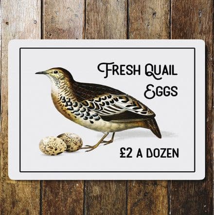 Fresh Quail Eggs Tin Sign Metal Sign Plaque
