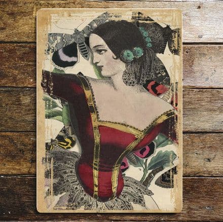 Gyspy Dancer Red Dress - Metal Humour Wall Sign