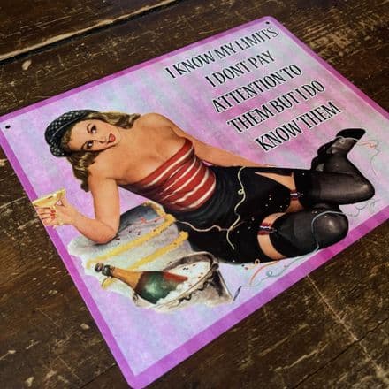 I Know My Limits I Don't Pay Attention To Them But I do Know Them - Metal Humour Wall Sign -