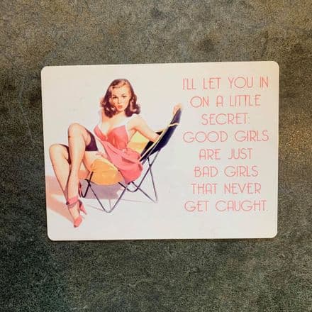 I'll Let you in on a little secret - Good & Bad Girls - Metal Travel Wall Sign