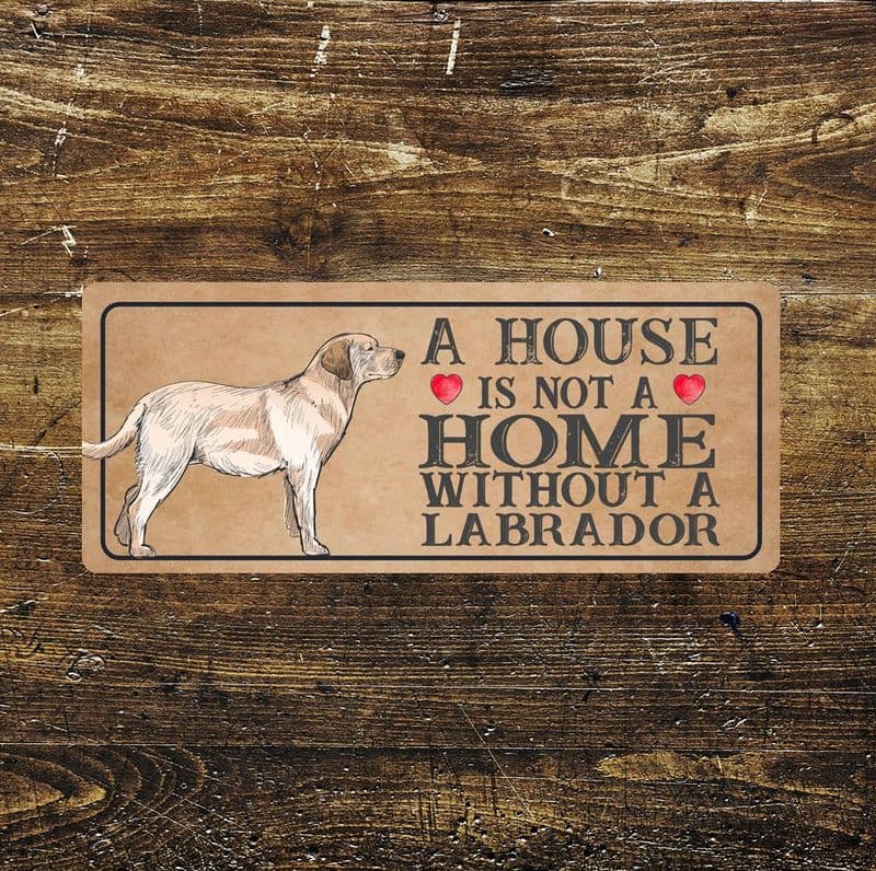 labrador dog Dog Metal Sign Plaque - A House Is Not a ome without a