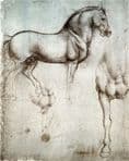 Leonardo da Vinci study of a Horse - Metal Fine Art Wall Sign