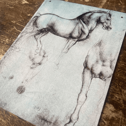 Leonardo da Vinci study of a Horse - Metal Fine Art Wall Sign
