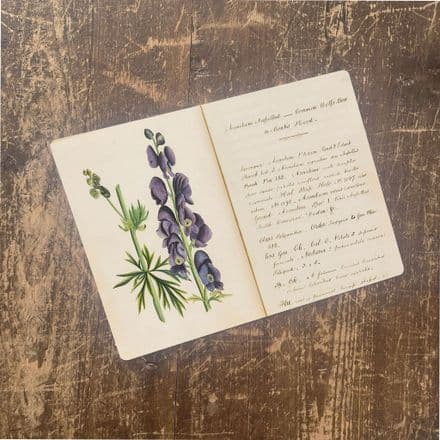 Lily Book Plant Metal Wall Sign