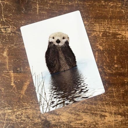 Otter animal Face Head Cute Water - Metal Animal Wall Sign