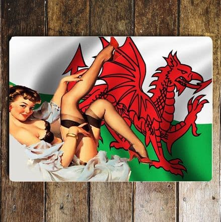Pin Up Girl Welsh Wales Flag - Metal Plaque Art Wall Sign
