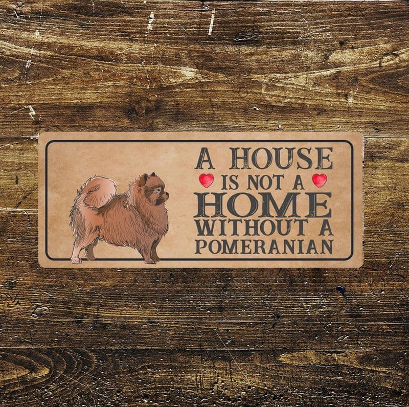 Pomeranian Dog Metal Sign Plaque - A House Is Not a Home without a Metal plaque Sign