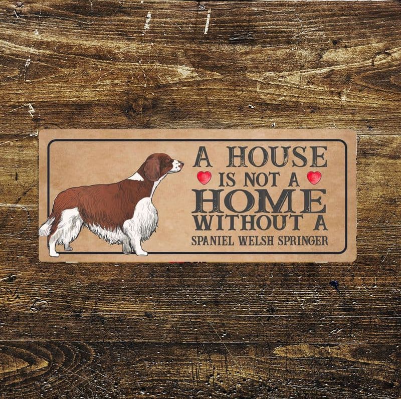 spaniel welsh springer Dog Metal Sign Plaque - A House Is Not a ome without a