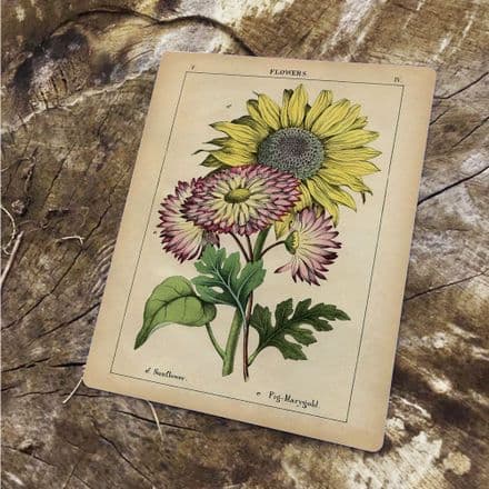 Sunflowers Flowers - Metal Floral Wall Sign