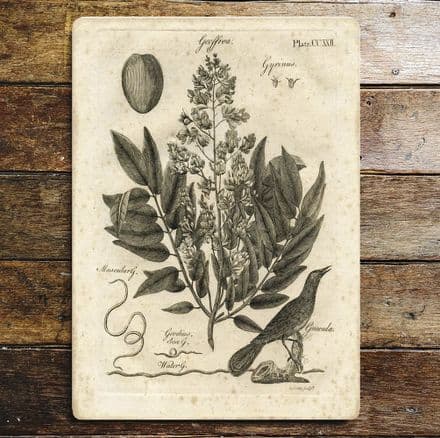 Vintage Botanical Fern - Metal Fine Art Wall Sign