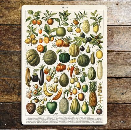 Vintage Botanical Kitchen Fruits - Metal Art Wall Sign (1)
