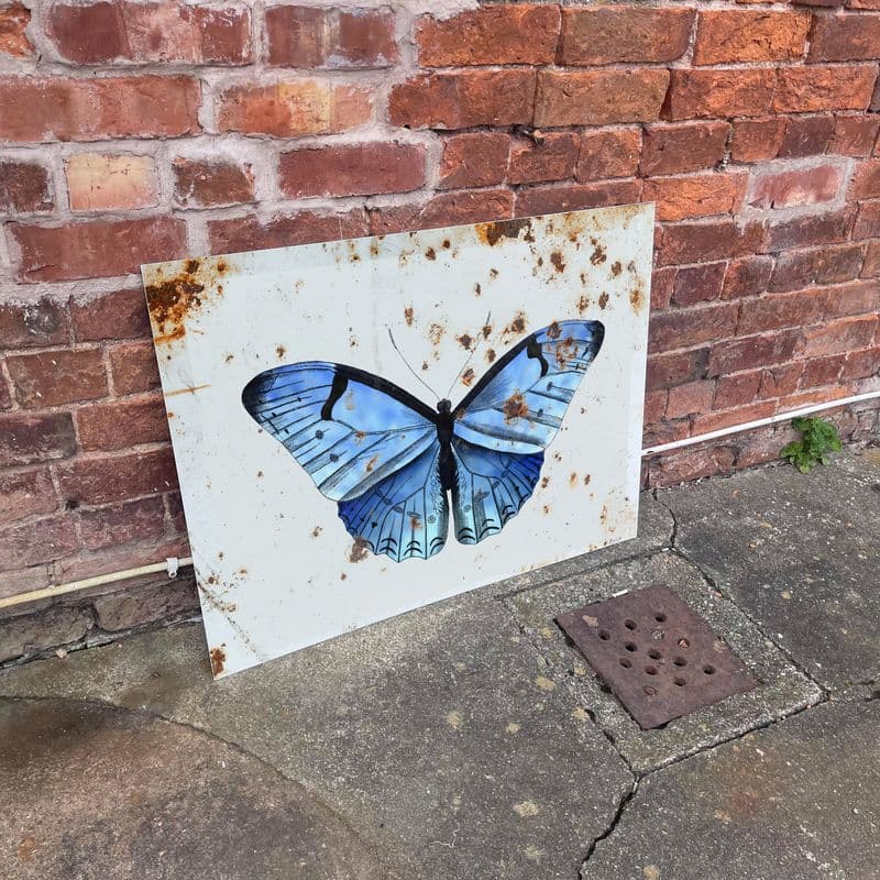 Vintage Butterfly with rust - Metal Sign Plaque