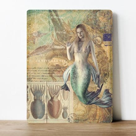 vintage style Mermaid and Swuid   Metal Wall Sign