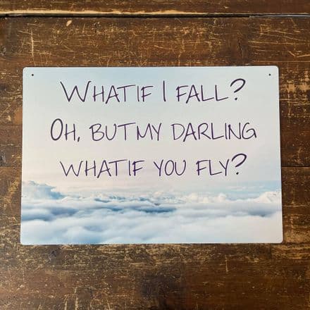 What If I Fall, But what if you Fly - Metal Travel Wall Sign