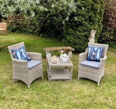 2 Seater Coffee Table Carver Companion Set