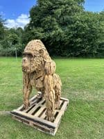 Giant Hand Crafted Teak Wood Gorilla Statue