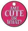 Am I Cute Or What | Pet Tags | Comical Pet Tags | Wizard Awards