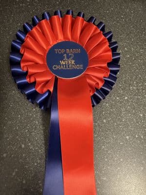 Top Barn 12 Week Challenge ~  Rhi's Randoms 2026