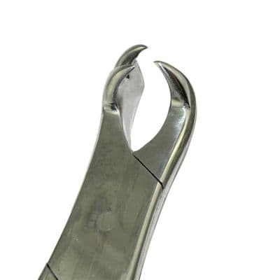3 Root Molar Forceps  (nearside)