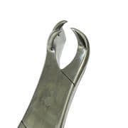 3 Root Molar Forceps (nearside)