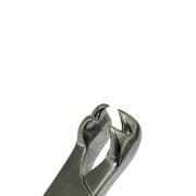 Molar Forceps ( 4 tooth )