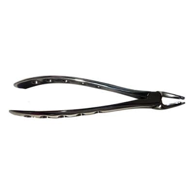 Palm forceps 7