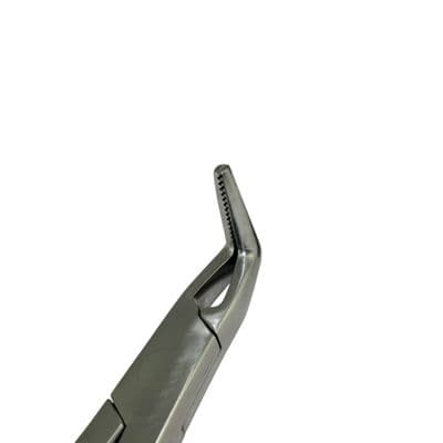 Short Nose Root & Fragment Forceps