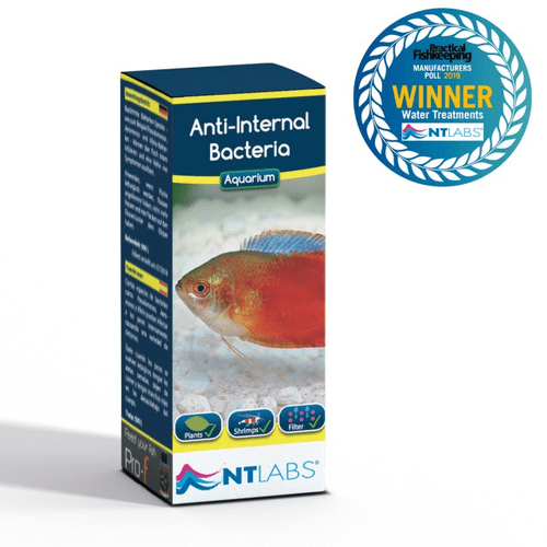 Anti-Internal Bacteria NT LABS