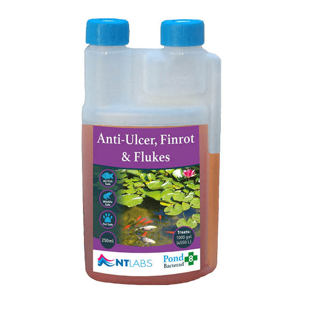 AntiUlcer Finrot & Flukes Bacterad NT LABS