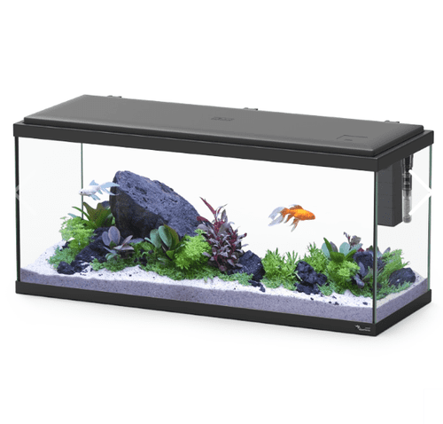 Aquatlantis Explorer AMSTERDAM LED 85 litre Aquarium