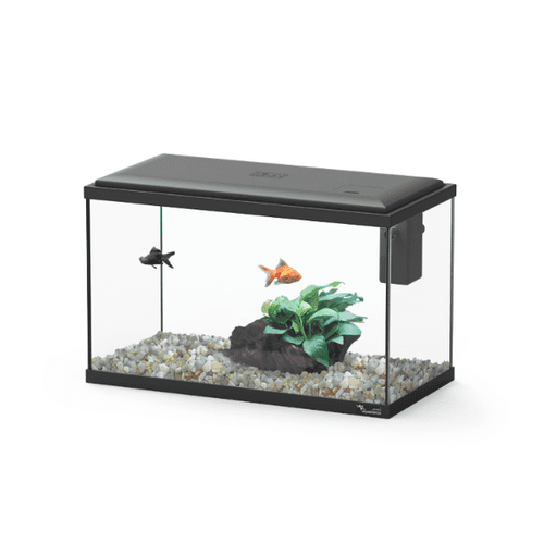 Aquatlantis Explorer LISBON LED 17 litre Aquarium