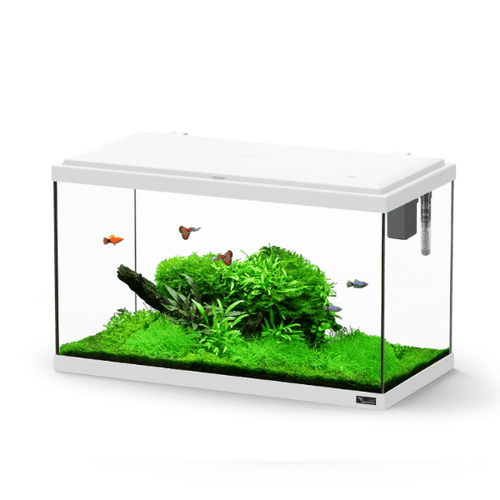 Aquatlantis Explorer PARIS LED 58 litre Aquarium