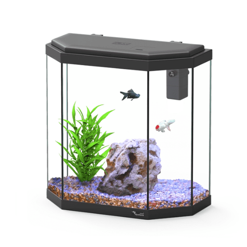 Aquatlantis Explorer ROME LED 25 litre Aquarium