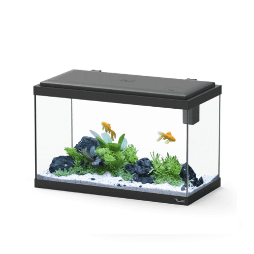 Aquatlantis Explorer VIENNA LED 34 litre Aquarium