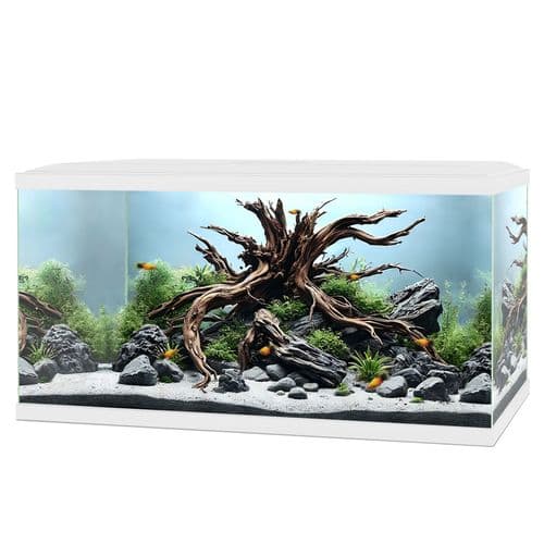 CIANO Aqua 60 LED Aquarium