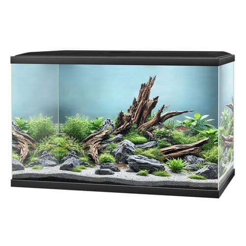 CIANO Aqua 65 LED Aquarium