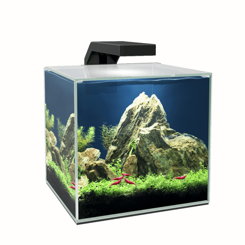CIANO Cube 15 LED Aquarium
